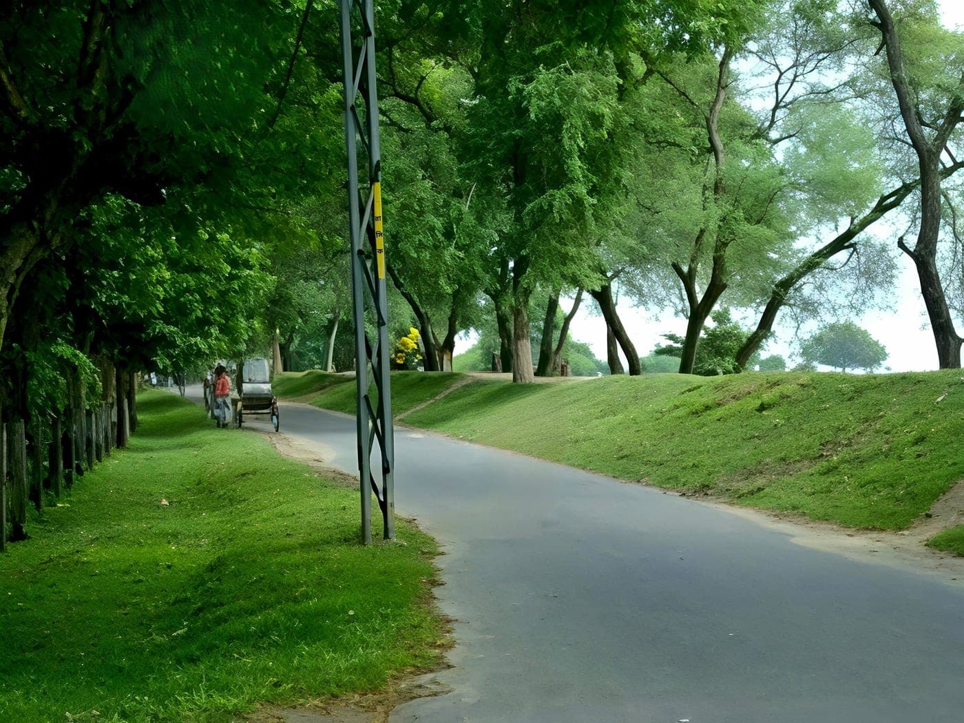 A quiet tree-lined road in Rajshahi, a rickshaw somewhere in the middle distance.