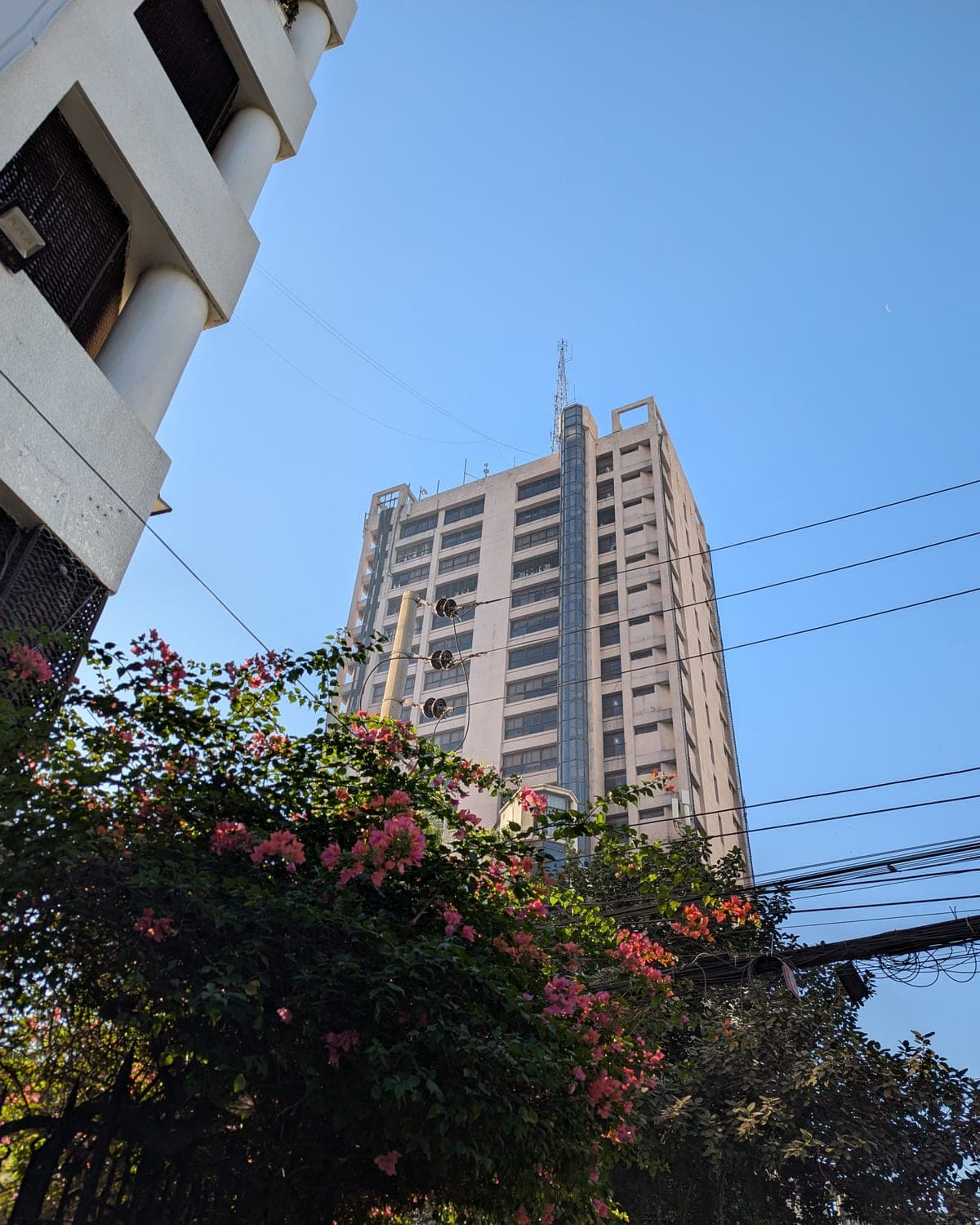 The campus building from the street below, bougainvillea over the fence in front of it.