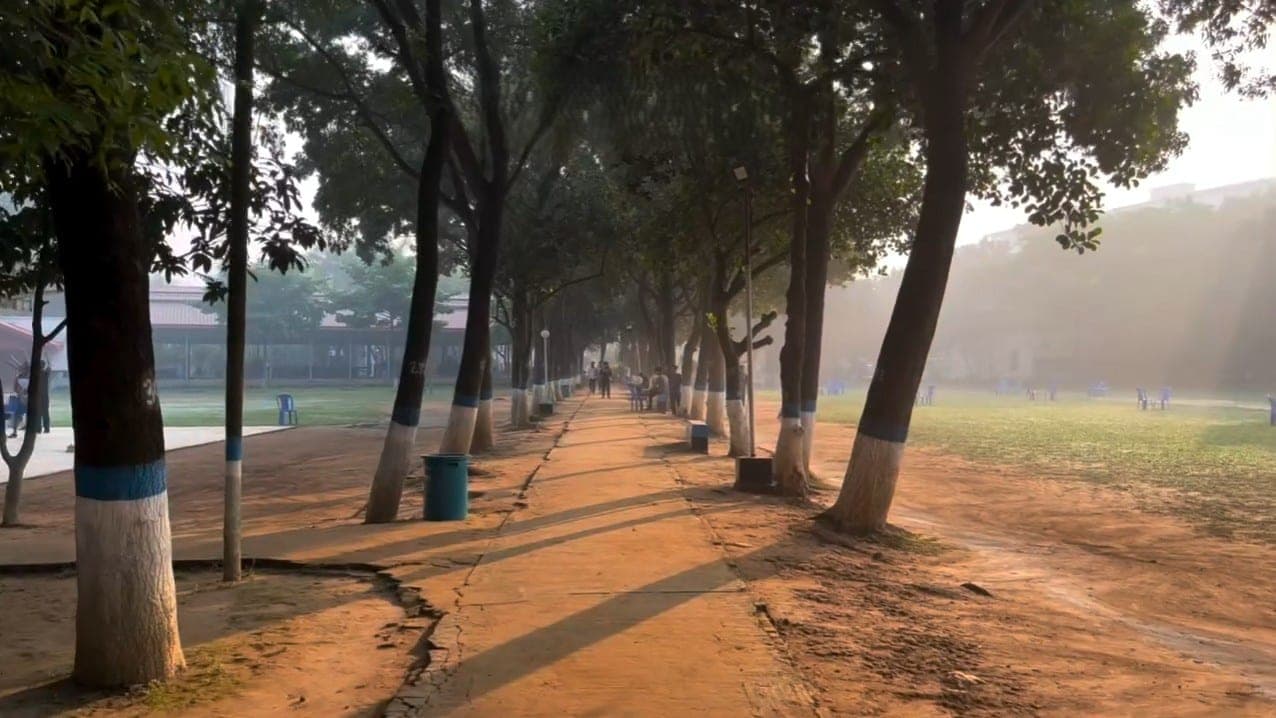 A tree-lined path across the TARC campus, early morning, mist still on the field.